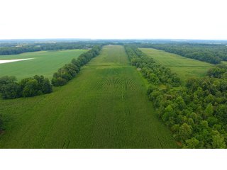 TRACT 16 - ILLINOIS LAND AUCTION - 4,810+/- ACRES OFFERED IN 85 TRACTS IN FRANKLIN, WILLIAMSON, HAMILTON & SALINE COUNTIES, ILLINOIS